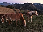 73 Con i cavalli alla Forcella di spettino a tramonto inoltrato